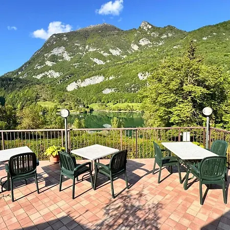 Stella Alpina